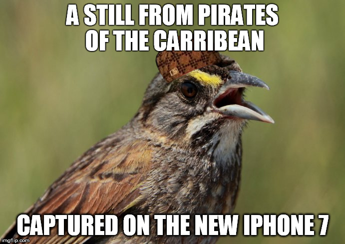 A STILL FROM PIRATES OF THE CARRIBEAN; CAPTURED ON THE NEW IPHONE 7 | image tagged in iphone 7,captain jack sparrow,pirates of the carribean | made w/ Imgflip meme maker