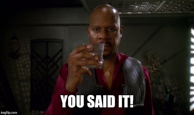 Sisko with glass | YOU SAID IT! | image tagged in sisko with glass | made w/ Imgflip meme maker