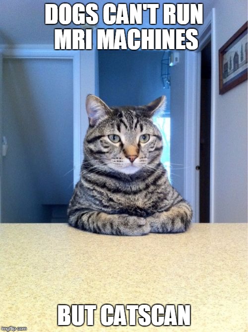 Take A Seat Cat Meme | DOGS CAN'T RUN MRI MACHINES; BUT CATSCAN | image tagged in memes,take a seat cat | made w/ Imgflip meme maker