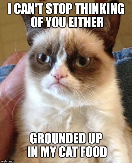 Grumpy Cat Meme | I CAN'T STOP THINKING OF YOU EITHER GROUNDED UP IN MY CAT FOOD | image tagged in memes,grumpy cat | made w/ Imgflip meme maker