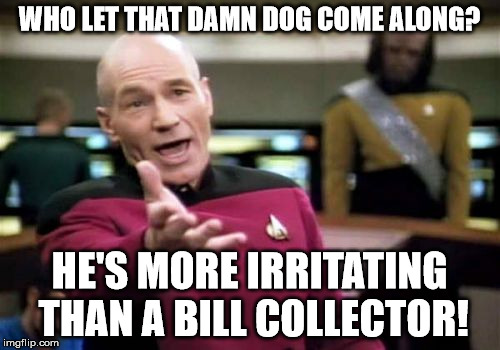 Picard Wtf Meme | WHO LET THAT DAMN DOG COME ALONG? HE'S MORE IRRITATING THAN A BILL COLLECTOR! | image tagged in memes,picard wtf | made w/ Imgflip meme maker