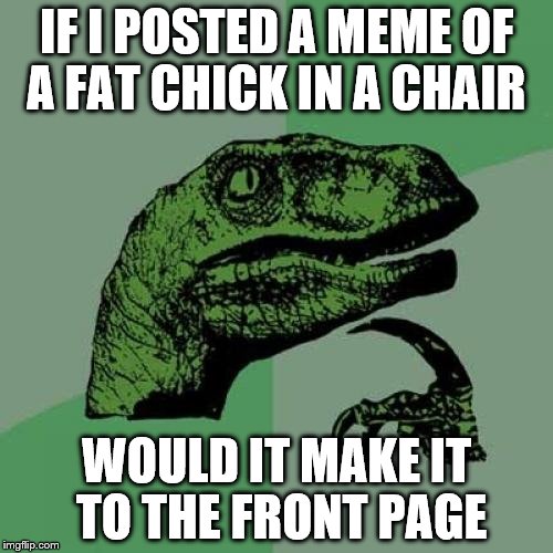 Philosoraydog Says I Don't Think So | IF I POSTED A MEME OF A FAT CHICK IN A CHAIR; WOULD IT MAKE IT TO THE FRONT PAGE | image tagged in memes,philosoraptor,raydog | made w/ Imgflip meme maker