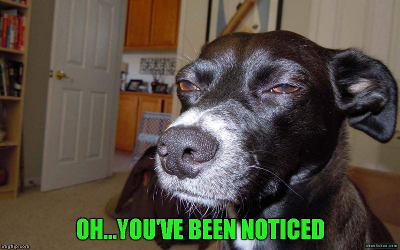 OH...YOU'VE BEEN NOTICED | made w/ Imgflip meme maker