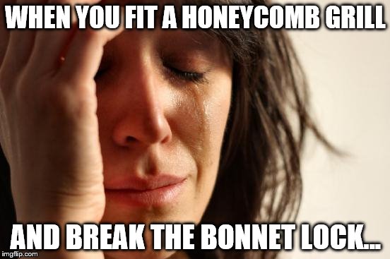First World Problems Meme | WHEN YOU FIT A HONEYCOMB GRILL; AND BREAK THE BONNET LOCK... | image tagged in memes,first world problems | made w/ Imgflip meme maker
