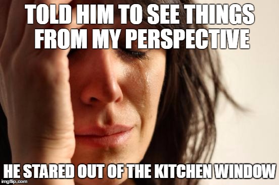 First World Problems | TOLD HIM TO SEE THINGS FROM MY PERSPECTIVE; HE STARED OUT OF THE KITCHEN WINDOW | image tagged in memes,first world problems | made w/ Imgflip meme maker