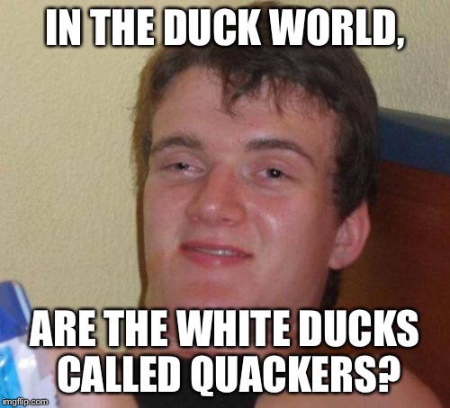 10 Guy Meme | IN THE DUCK WORLD, ARE THE WHITE DUCKS CALLED QUACKERS? | image tagged in memes,10 guy | made w/ Imgflip meme maker