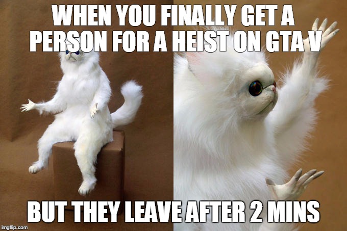Persian Cat Room Guardian Meme | WHEN YOU FINALLY GET A PERSON FOR A HEIST ON GTA V; BUT THEY LEAVE AFTER 2 MINS | image tagged in memes,persian cat room guardian | made w/ Imgflip meme maker