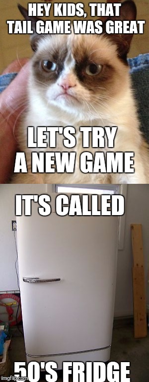 Grumpy cat has an extra refrigerator in his basement. | HEY KIDS, THAT TAIL GAME WAS GREAT; LET'S TRY A NEW GAME; IT'S CALLED; 50'S FRIDGE | image tagged in grumpy cat,memes | made w/ Imgflip meme maker