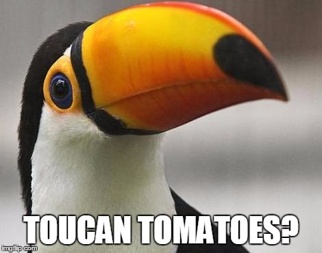 TOUCAN TOMATOES? | image tagged in toucan | made w/ Imgflip meme maker