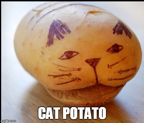 CAT POTATO | made w/ Imgflip meme maker
