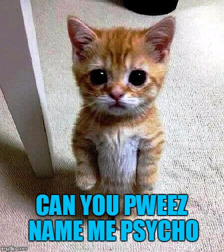 CAN YOU PWEEZ NAME ME PSYCHO | image tagged in kitty | made w/ Imgflip meme maker