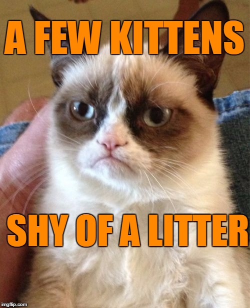 Grumpy Cat Meme | A FEW KITTENS SHY OF A LITTER | image tagged in memes,grumpy cat | made w/ Imgflip meme maker