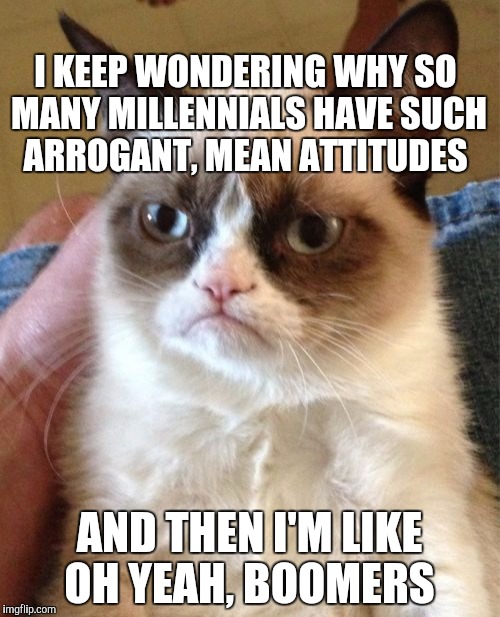 Grumpy Cat Meme | I KEEP WONDERING WHY SO MANY MILLENNIALS HAVE SUCH ARROGANT, MEAN ATTITUDES; AND THEN I'M LIKE OH YEAH, BOOMERS | image tagged in memes,grumpy cat | made w/ Imgflip meme maker