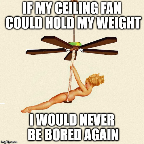 Swing in the ceiling fan | IF MY CEILING FAN COULD HOLD MY WEIGHT; I WOULD NEVER BE BORED AGAIN | image tagged in swing,ceiling fan,hot,warm,cooling down,bored | made w/ Imgflip meme maker
