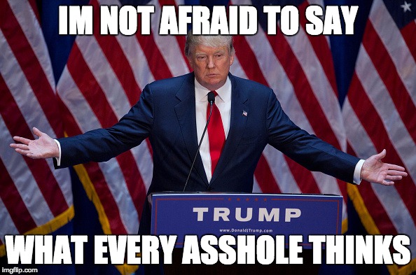 Donald Trump | IM NOT AFRAID TO SAY; WHAT EVERY ASSHOLE THINKS | image tagged in donald trump | made w/ Imgflip meme maker
