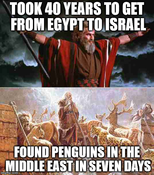 Moses vs. Noah |  TOOK 40 YEARS TO GET FROM EGYPT TO ISRAEL; FOUND PENGUINS IN THE MIDDLE EAST IN SEVEN DAYS | image tagged in memes,funny,moses,noah | made w/ Imgflip meme maker