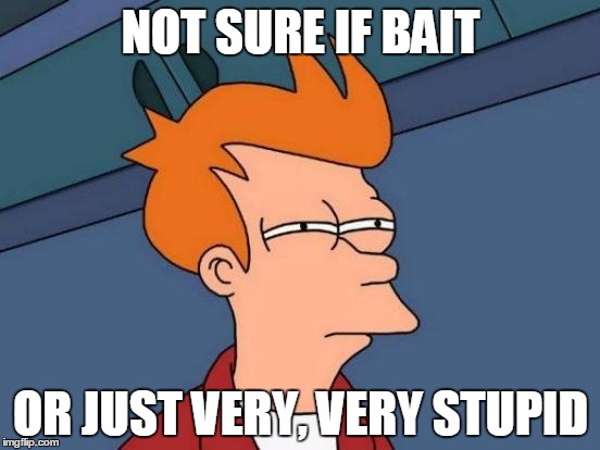 Futurama Fry Meme | NOT SURE IF BAIT; OR JUST VERY, VERY STUPID | image tagged in memes,futurama fry | made w/ Imgflip meme maker
