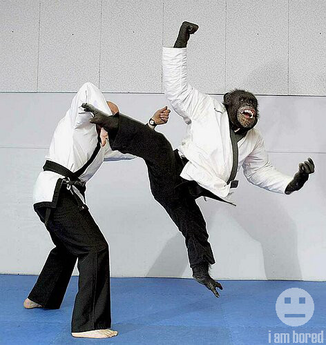 Monkey kick Blank Meme Template