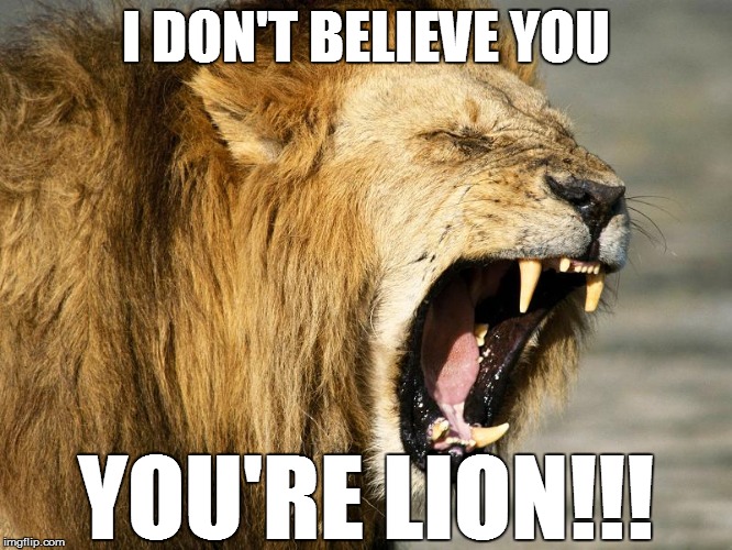 I DON'T BELIEVE YOU YOU'RE LION!!! | made w/ Imgflip meme maker