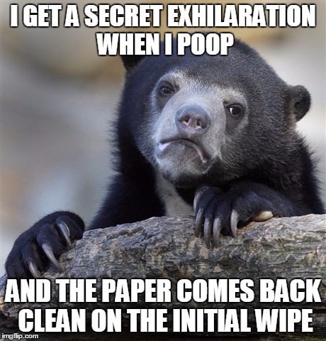 Save the Charmin | I GET A SECRET EXHILARATION WHEN I POOP; AND THE PAPER COMES BACK CLEAN ON THE INITIAL WIPE | image tagged in memes,confession bear | made w/ Imgflip meme maker