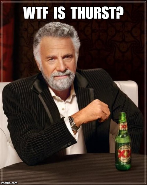 The Most Interesting Man In The World Meme | WTF  IS  THURST? | image tagged in memes,the most interesting man in the world | made w/ Imgflip meme maker