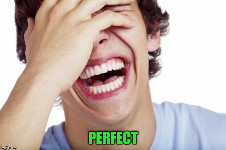 PERFECT | made w/ Imgflip meme maker