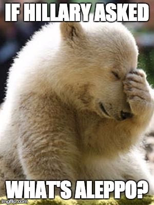Facepalm Bear | IF HILLARY ASKED; WHAT'S ALEPPO? | image tagged in memes,facepalm bear | made w/ Imgflip meme maker