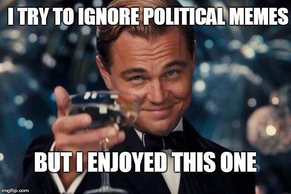 Leonardo Dicaprio Cheers Meme | BUT I ENJOYED THIS ONE I TRY TO IGNORE POLITICAL MEMES | image tagged in memes,leonardo dicaprio cheers | made w/ Imgflip meme maker