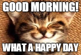 Good Mood Cat | GOOD MORNING! WHAT A HAPPY DAY | image tagged in memes,cats | made w/ Imgflip meme maker