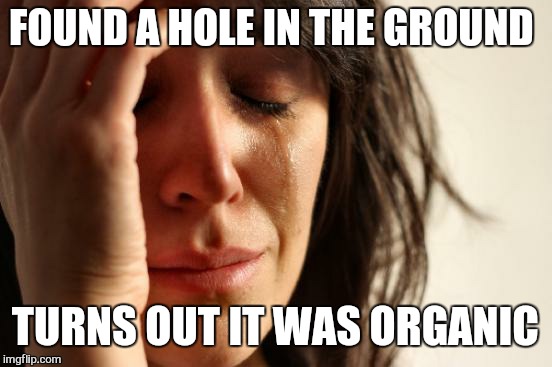 First World Problems Meme | FOUND A HOLE IN THE GROUND TURNS OUT IT WAS ORGANIC | image tagged in memes,first world problems | made w/ Imgflip meme maker