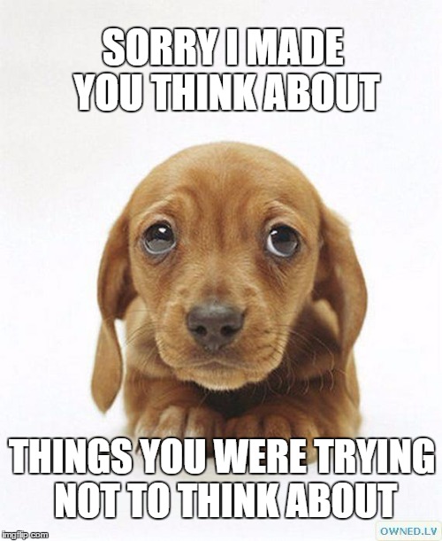 sorry puppy | SORRY I MADE YOU THINK ABOUT; THINGS YOU WERE TRYING NOT TO THINK ABOUT | image tagged in sorry puppy | made w/ Imgflip meme maker