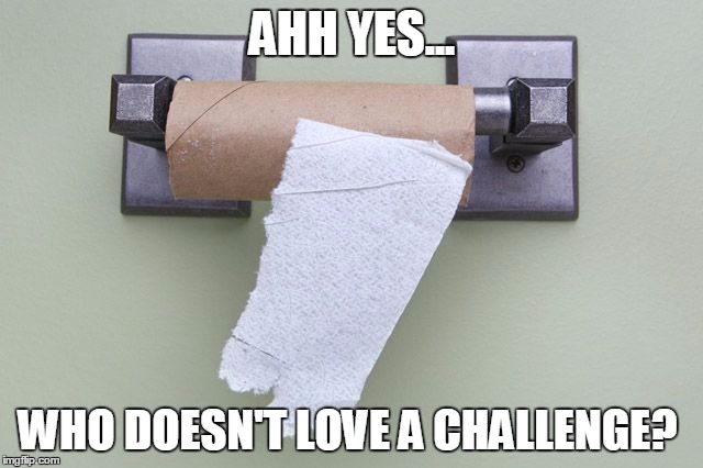 Life challenge | AHH YES... WHO DOESN'T LOVE A CHALLENGE? | image tagged in challenge,toilet humor,toilet paper,last square | made w/ Imgflip meme maker