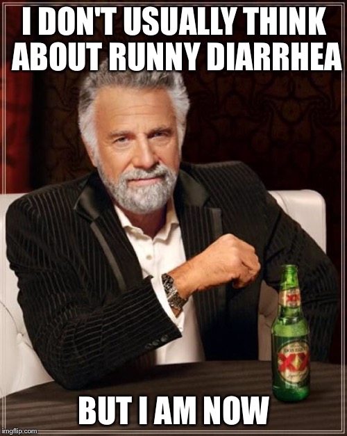 The Most Interesting Man In The World Meme | I DON'T USUALLY THINK ABOUT RUNNY DIARRHEA BUT I AM NOW | image tagged in memes,the most interesting man in the world | made w/ Imgflip meme maker