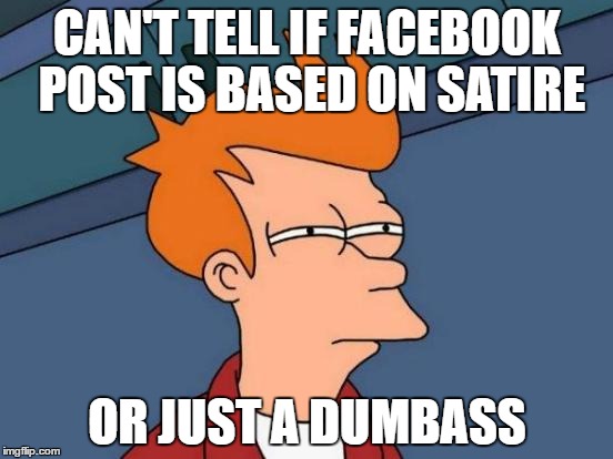 Futurama Fry Meme | CAN'T TELL IF FACEBOOK POST IS BASED ON SATIRE; OR JUST A DUMBASS | image tagged in memes,futurama fry | made w/ Imgflip meme maker