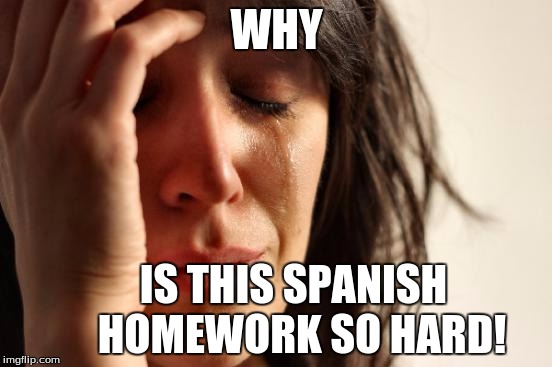 First World Problems Meme | WHY; IS THIS SPANISH      HOMEWORK SO HARD! | image tagged in memes,first world problems | made w/ Imgflip meme maker