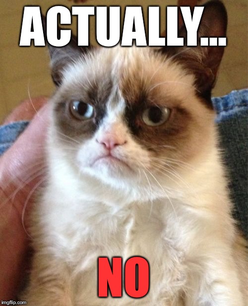 Grumpy Cat Meme | ACTUALLY... NO | image tagged in memes,grumpy cat | made w/ Imgflip meme maker