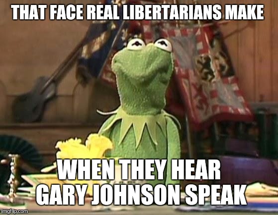 disgusted kermit | THAT FACE REAL LIBERTARIANS MAKE; WHEN THEY HEAR GARY JOHNSON SPEAK | image tagged in disgusted kermit | made w/ Imgflip meme maker