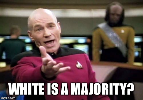 Picard Wtf Meme | WHITE IS A MAJORITY? | image tagged in memes,picard wtf | made w/ Imgflip meme maker