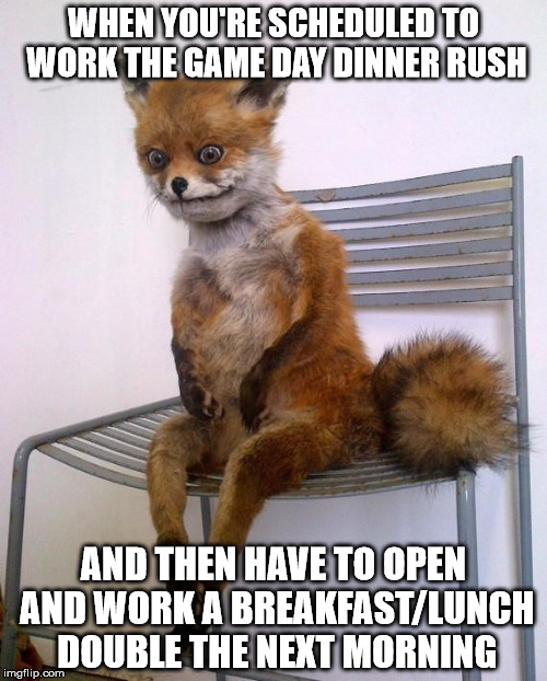 Stoned Fox | WHEN YOU'RE SCHEDULED TO WORK THE GAME DAY DINNER RUSH; AND THEN HAVE TO OPEN AND WORK A BREAKFAST/LUNCH DOUBLE THE NEXT MORNING | image tagged in stoned fox | made w/ Imgflip meme maker