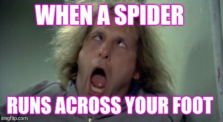 Scary Harry | WHEN A SPIDER; RUNS ACROSS YOUR FOOT | image tagged in memes,scary harry | made w/ Imgflip meme maker