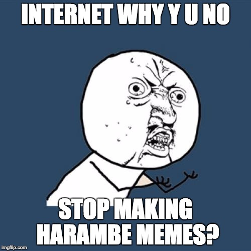 Cincinnati Zoo | INTERNET WHY Y U NO; STOP MAKING HARAMBE MEMES? | image tagged in memes,y u no,harambe,cincinnati zoo | made w/ Imgflip meme maker