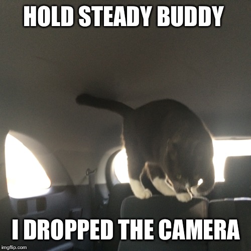 HOLD STEADY BUDDY I DROPPED THE CAMERA | made w/ Imgflip meme maker