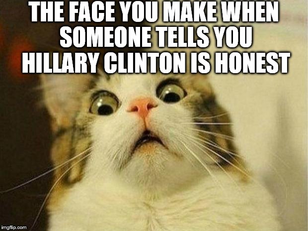 Hillary Clinton is Honest | THE FACE YOU MAKE WHEN SOMEONE TELLS YOU HILLARY CLINTON IS HONEST | image tagged in memes,scared cat,hillary clinton,honesty,hillary clinton liar,shocked face | made w/ Imgflip meme maker