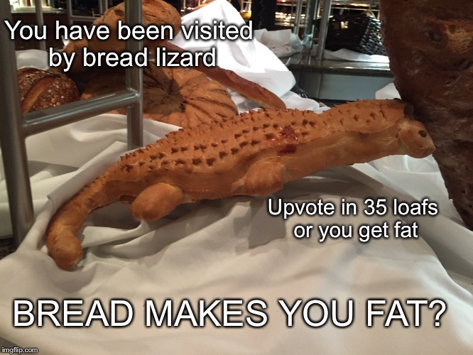 Le bread lizard | You have been visited by bread lizard; Upvote in 35 loafs or you get fat; BREAD MAKES YOU FAT? | image tagged in bread | made w/ Imgflip meme maker
