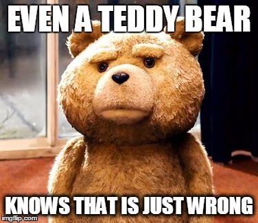 TED Meme | EVEN A TEDDY BEAR; KNOWS THAT IS JUST WRONG | image tagged in memes,ted | made w/ Imgflip meme maker