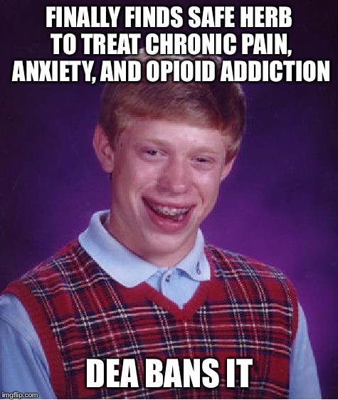 Bad Luck Brian | FINALLY FINDS SAFE HERB TO TREAT CHRONIC PAIN, ANXIETY, AND OPIOID ADDICTION; DEA BANS IT | image tagged in memes,bad luck brian | made w/ Imgflip meme maker