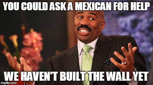 YOU COULD ASK A MEXICAN FOR HELP WE HAVEN'T BUILT THE WALL YET | image tagged in memes,steve harvey | made w/ Imgflip meme maker