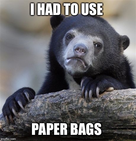Confession Bear Meme | I HAD TO USE PAPER BAGS | image tagged in memes,confession bear | made w/ Imgflip meme maker