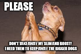 Chihuahua praying  | PLEASE; DON'T TAKE AWAY MY SLIM AND BOOST! I NEED THEM TO KEEP AWAY THE BIGGER DOGS | image tagged in chihuahua praying | made w/ Imgflip meme maker