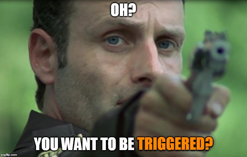 OH? YOU WANT TO BE TRIGGERED? TRIGGERED? | made w/ Imgflip meme maker